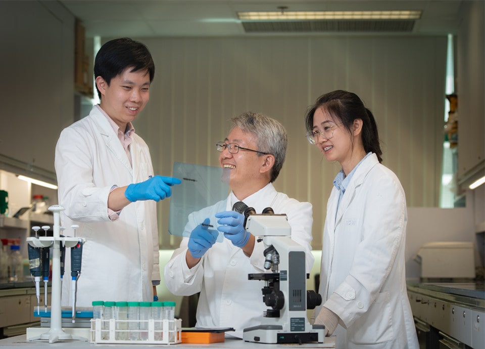 Our vigorous team consists of experts in Chinese medicine, microbiology, pharmacognosy, pharmacology, clinical trials and bioinformatics. We work together to create and accumulate outputs that are both innovative and impactful for the treatment of patients.