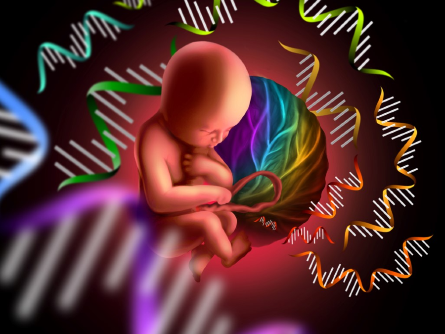 Non-invasive prenatal testing using cell-free fetal nucleic acids